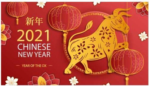 河南盛顺凯新型建筑材料有限公司祝大家新年快乐，牛年更比一年牛！